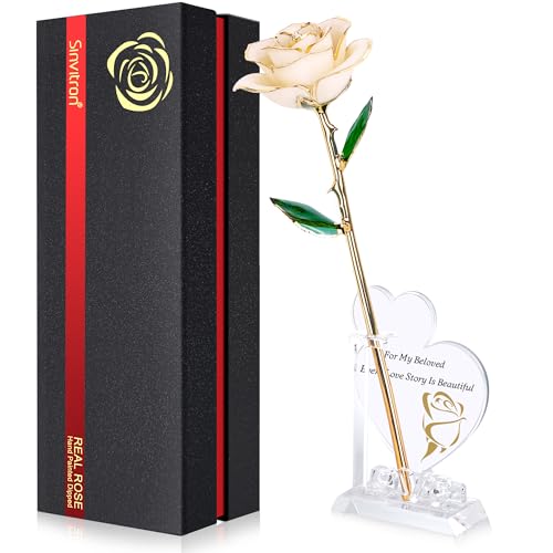 Amazon.com: Sinvitron: Gold Dipped Rose